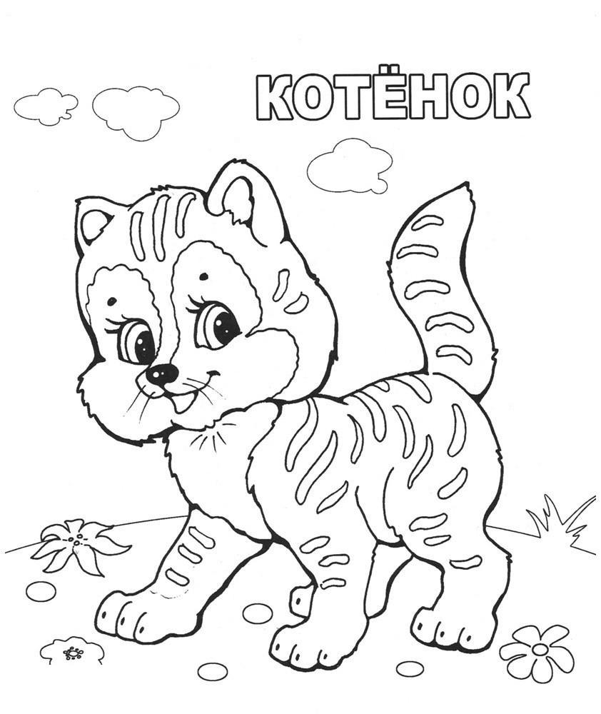 раскраска полосатый котенок