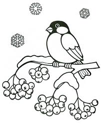 птица снегирь раскраска распечатать бесплатно
