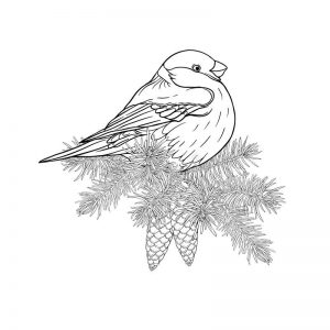 Раскраска птица снегирь зимой на ветке
