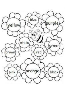 раскраска цвета на английском языке для детей распечатать бесплатно