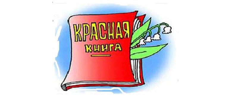 В Петербурге выпустили детские раскраски по городской Красной книге