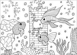 раскраска аквариум с рыбками для детей распечатать