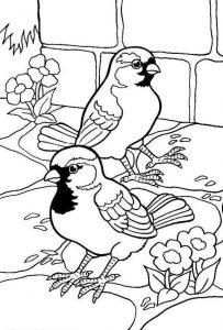 Раскраска птицы для детей 6-7 лет
