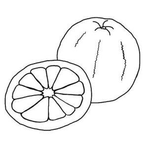 Раскраска грейпфрут
