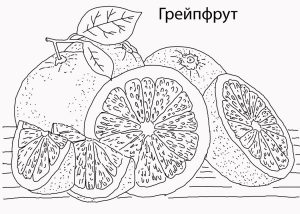 Раскраска грейпфрут рисунок для занятий
