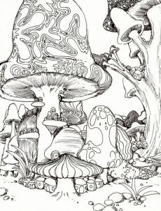 Раскраска грибы антистресс 2