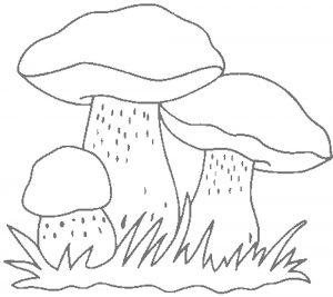Раскраска для детей белый гриб