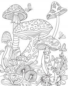 Раскраска грибы антистресс 3