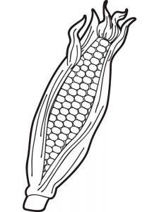 Раскраска кукуруза картинка