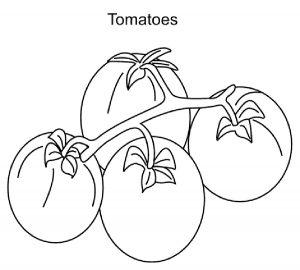 Раскраска томат для детей