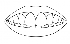 раскраска здоровые зубы 2