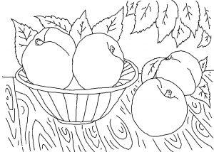 Раскраска урожай яблок 2