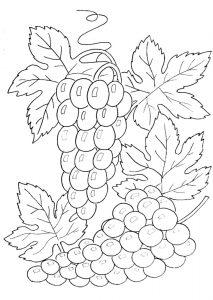 Раскраска винограда для детей
