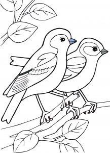 Раскраска для детей весенние птицы зяблик