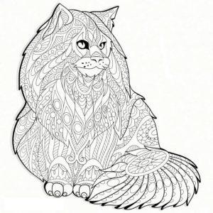 раскраска антистресс котики