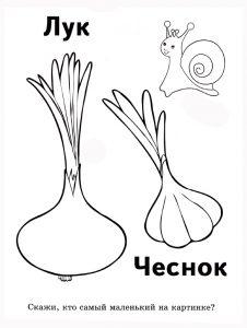 Раскраска чеснок для малышей