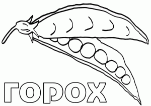 Раскраска горох для занятий
