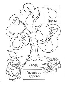Раскраска дерево груши