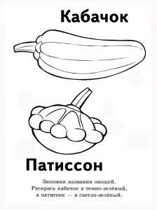 Раскраска кабачок и патиссон