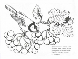 Раскраска калина (12 разукрашек)
