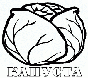 Раскраска капуста рисунок для детей