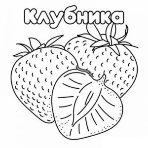 Раскраска клубника (25 разукрашек)
