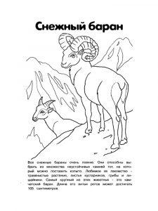 раскраска красная книга