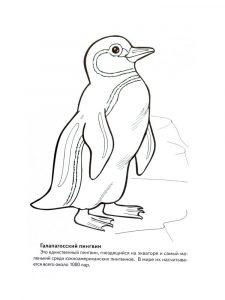раскраска красная книга