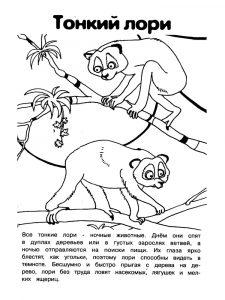 раскраска красная книга