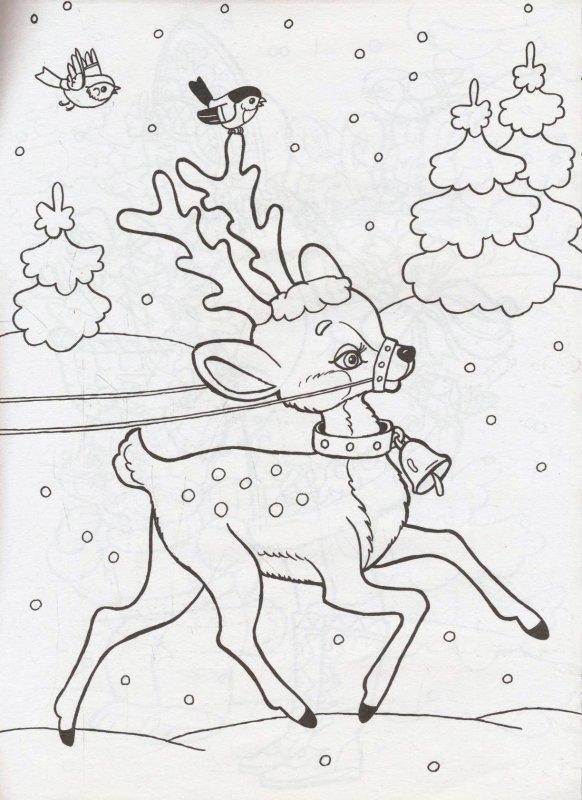 раскраска новогодний олень