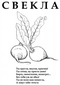 Раскраска свекла для занятий 2