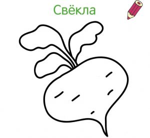 Раскраска свекла для детей 2, 3, 4 года