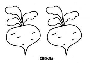 Раскраска свекла 4